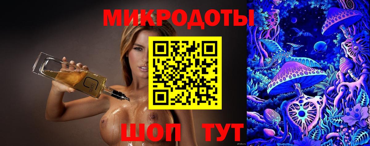 Псилоцибиновые грибы Psilocybe Луга