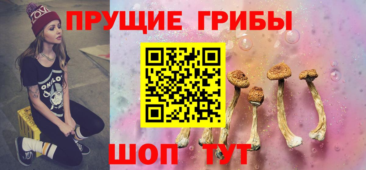Псилоцибиновые грибы GOLDEN TEACHER  Вход с VPN  Луга  Галлюциногенные грибы Cubensis 