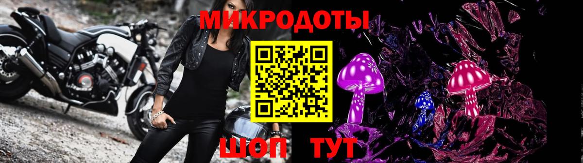 Галлюциногенные грибы Луга